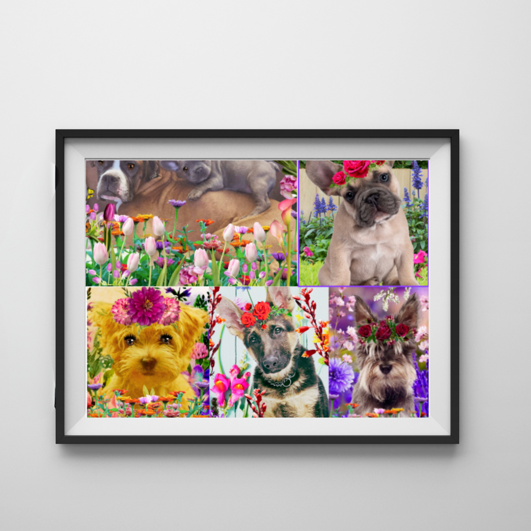 DIY Dogs/Puppy Diamond Art Kit