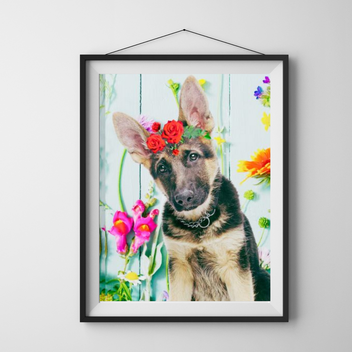DIY Dogs/Puppy Diamond Art Kit